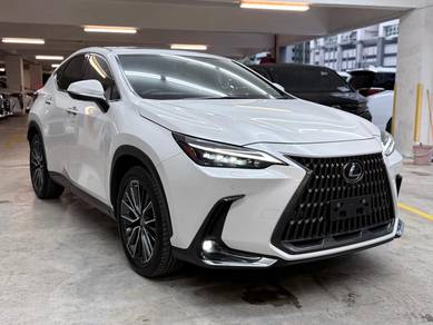 Lexus NX 250 LUXURY in Sungai Besi, KUL