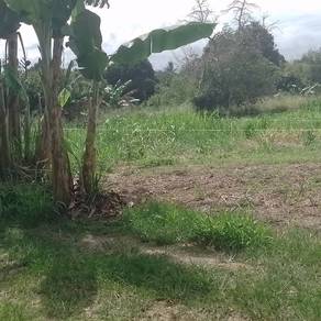 Agricultural Land in Keningau, SBH