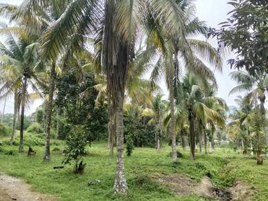 Agricultural Land in Seremban, NSN