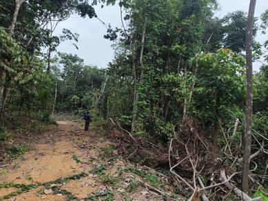 Agricultural Land in Beranang, SGR
