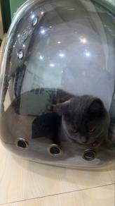 Rehome BSH