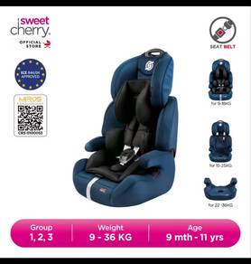 Sweet Cherry Baby Booster Car Seat