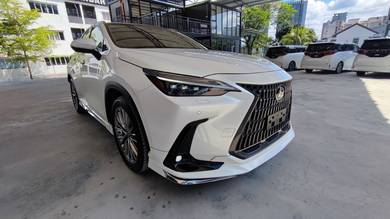 Lexus NX 250 LUXURY in Cheras, KUL