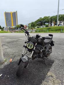KTNS RHINO 125