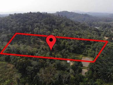 Agricultural Land in Batang Kali, SGR