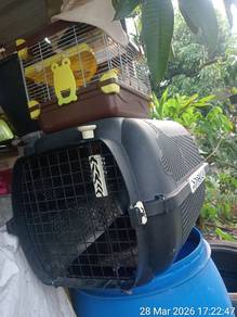 tempat kucing hamser 