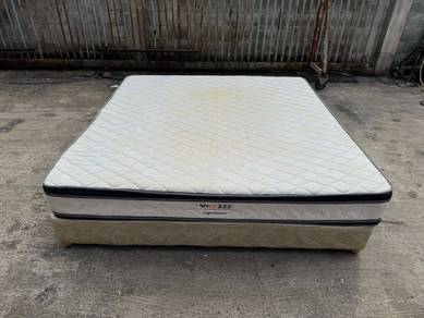 10'' Spring Coil Tilam King Mattress