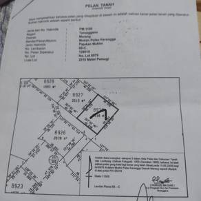 Residential Land in Marang, TRG