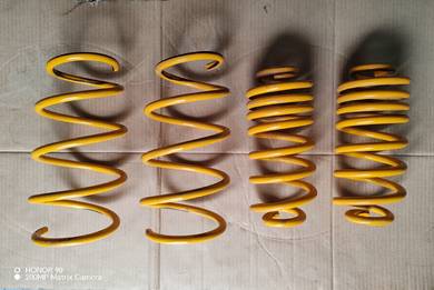 Estima ACR50 Modellista Coil Spring