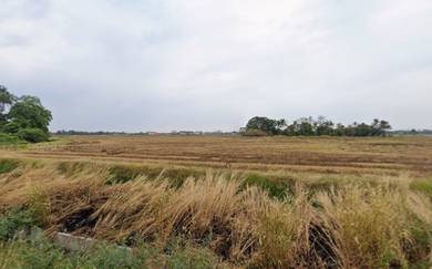 Agricultural Land in Seberang Perai, PNG