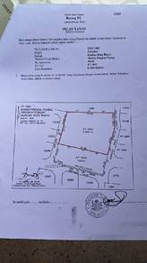 Agricultural Land in Kota Bharu, KTN