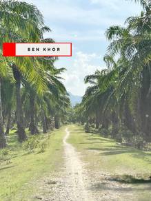 Agricultural Land in Balik Pulau, PNG