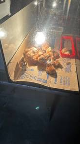 ayam penelur baka rhode island red