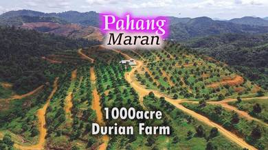 Agricultural Land in Bentong, PHG