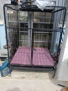 Sangkar Kucing