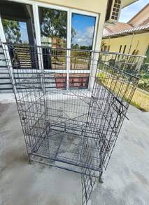 sangkar kucing ayam burung