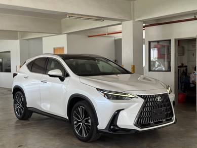 2023 Lexus NX 250 LUXURY