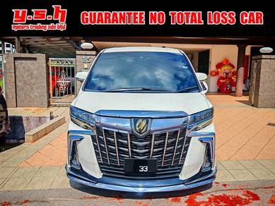 2020 Toyota Alphard S TYPE GOLD