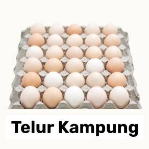 Fresh Telur Kampung, Telur Biasa