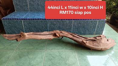 Kayu hiasan aquarium 4kaki 5kaki