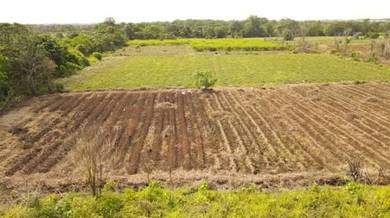 Agricultural Land in Klang, SGR