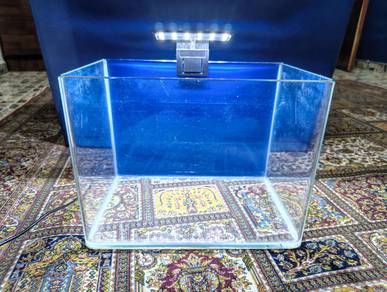 Aquarium 12" x 8" x 9" + lampu LED