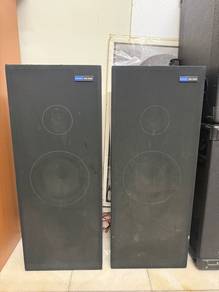 Pioneer 2 Way Speaker