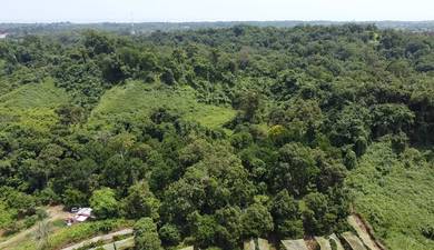 Agricultural Land in Miri, SWK
