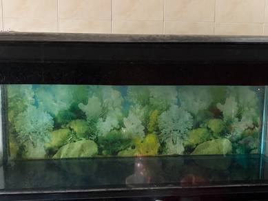 Aquarium