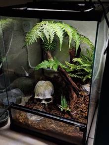 Custom terrarium
