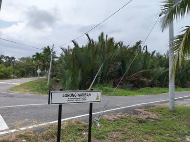 Agricultural Land in Tanjong Sepat, SGR