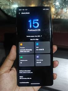 Vivo x80
