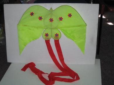 Handmade Kites Small