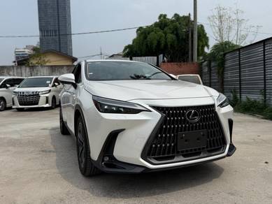 2022 Lexus NX 250 LUXURY