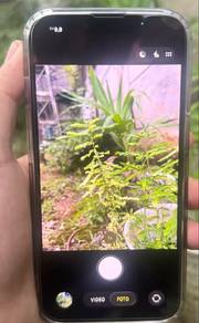 iphone 14 256 gb murah