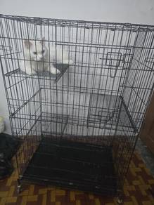 Sangkar Kucing