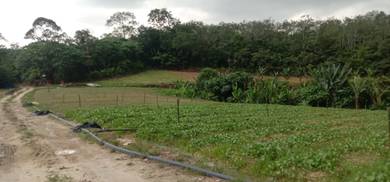 Agricultural Land in Semenyih, SGR