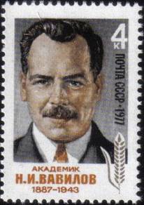 1977 90th N.I.Vavilov Soviet Russia Stamp UM