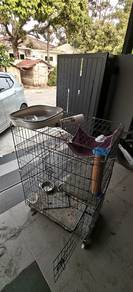 sangkar kucing