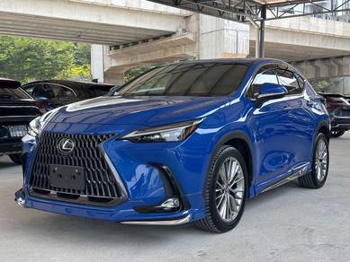 Lexus NX 250 LUXURY in Kayu Ara, SGR