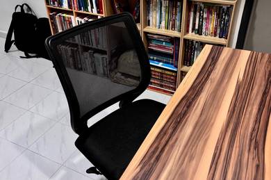 Ergonomic Study/Office Adjustable Chair