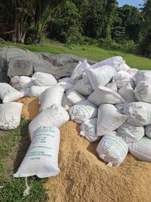 Sekam kuning Dan bakar 5885