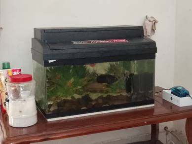 Akuarium 2 Kaki @ 60cm