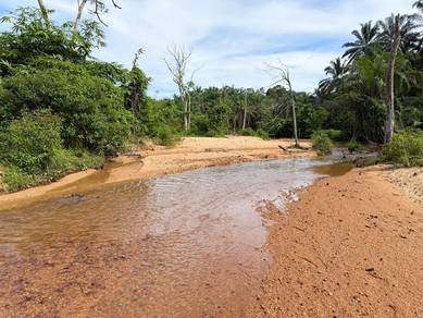 Agricultural Land in Hulu Terengganu, TRG