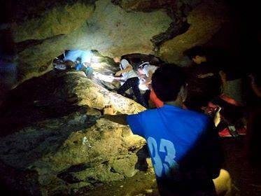 Greenleaf # 3d2n package taman negara