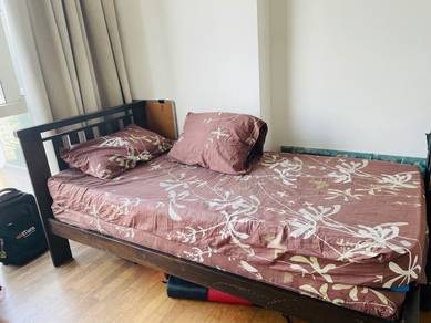 Single bed along with pull out bed and mattresses