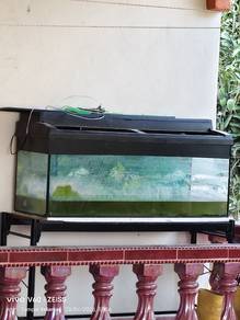 Akuarium 4 kaki