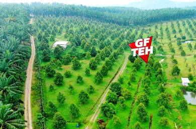 Agricultural Land in Serdang, KDH