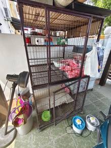 sangkar kucing