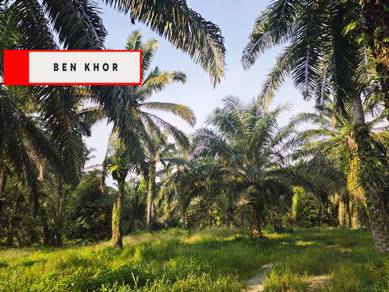 Agricultural Land in Nibong Tebal, PNG